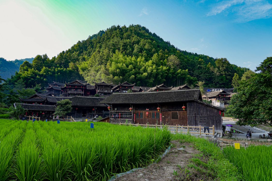 湖北宣恩无人机航拍时惊喜发现一座活着的土家族古寨开眼界