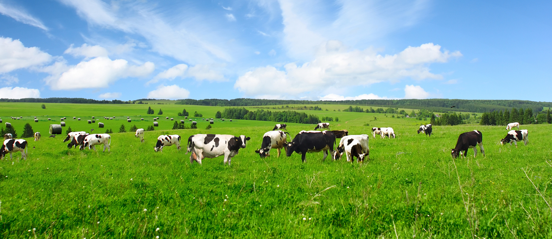 优然牧业上半年净利润预增50至60乳业上游市场龙头价值凸显