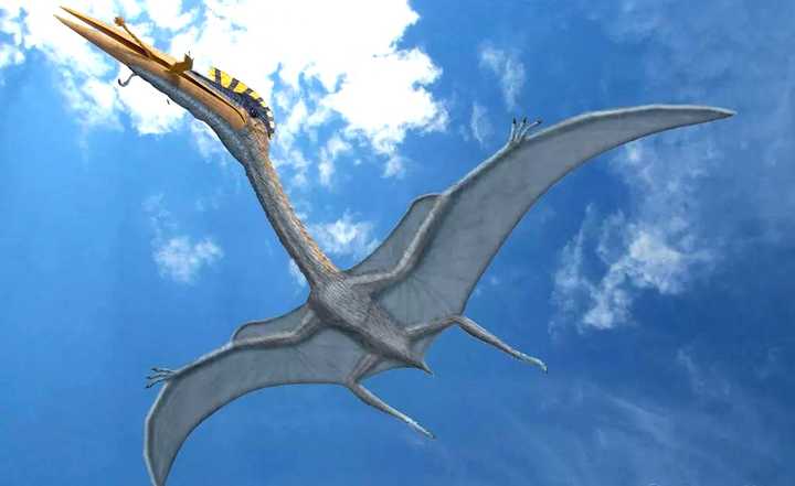 翼龙再生了?这种蜥蜴正在进化翅膀,已经可以在树林间滑翔