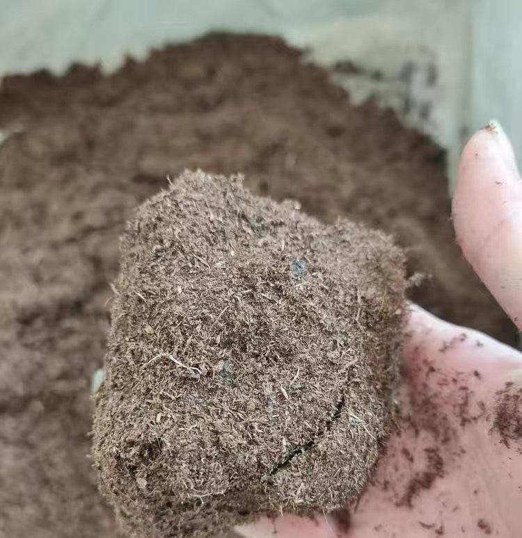 养多肉的“通用配土”,不要乱花钱了,买这2样土,养多肉足够休闲区蓝鸢梦想 - Www.slyday.coM 养多肉的“通用配土”,不要乱花钱了,买这2样土,养多肉足够休闲区蓝鸢梦想 - Www.slyday.coM