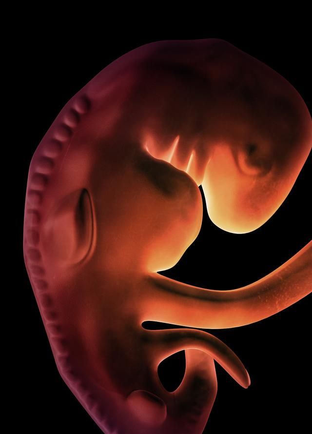 冻胚移植前应做什么准备在移植冻胚之前,首先需要做好子宫内膜的准备