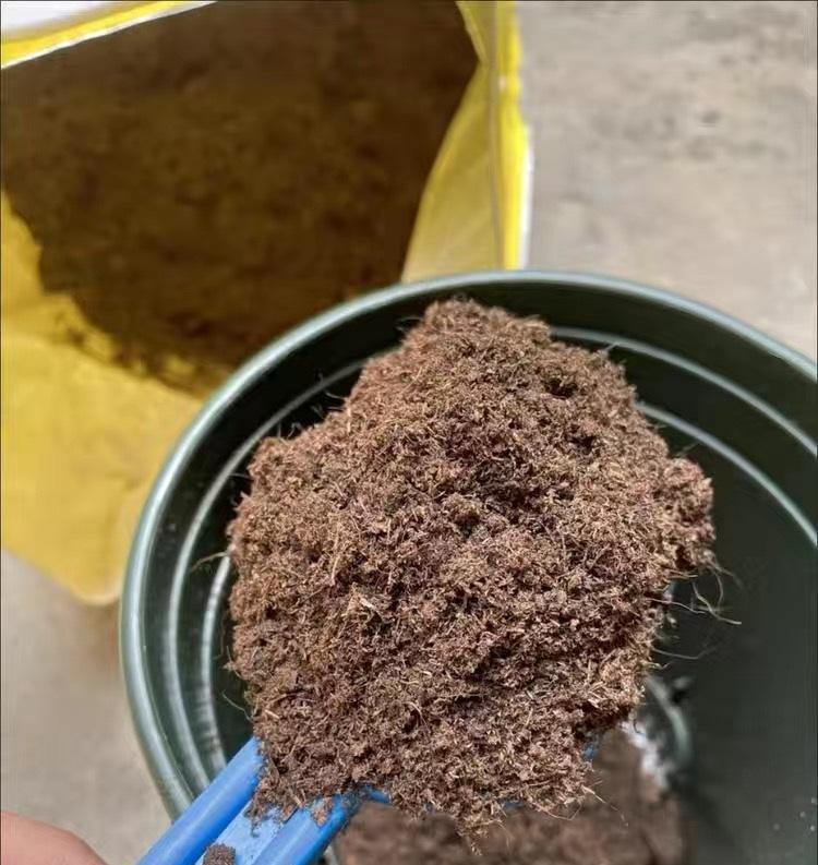 养多肉的“通用配土”,不要乱花钱了,买这2样土,养多肉足够休闲区蓝鸢梦想 - Www.slyday.coM 养多肉的“通用配土”,不要乱花钱了,买这2样土,养多肉足够休闲区蓝鸢梦想 - Www.slyday.coM