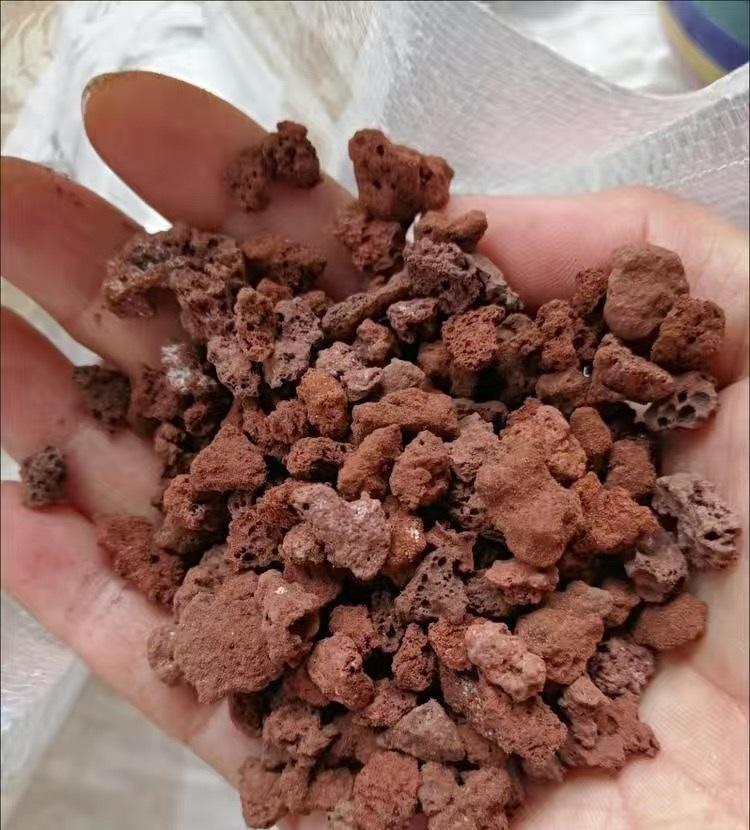 养多肉的“通用配土”,不要乱花钱了,买这2样土,养多肉足够休闲区蓝鸢梦想 - Www.slyday.coM 养多肉的“通用配土”,不要乱花钱了,买这2样土,养多肉足够休闲区蓝鸢梦想 - Www.slyday.coM