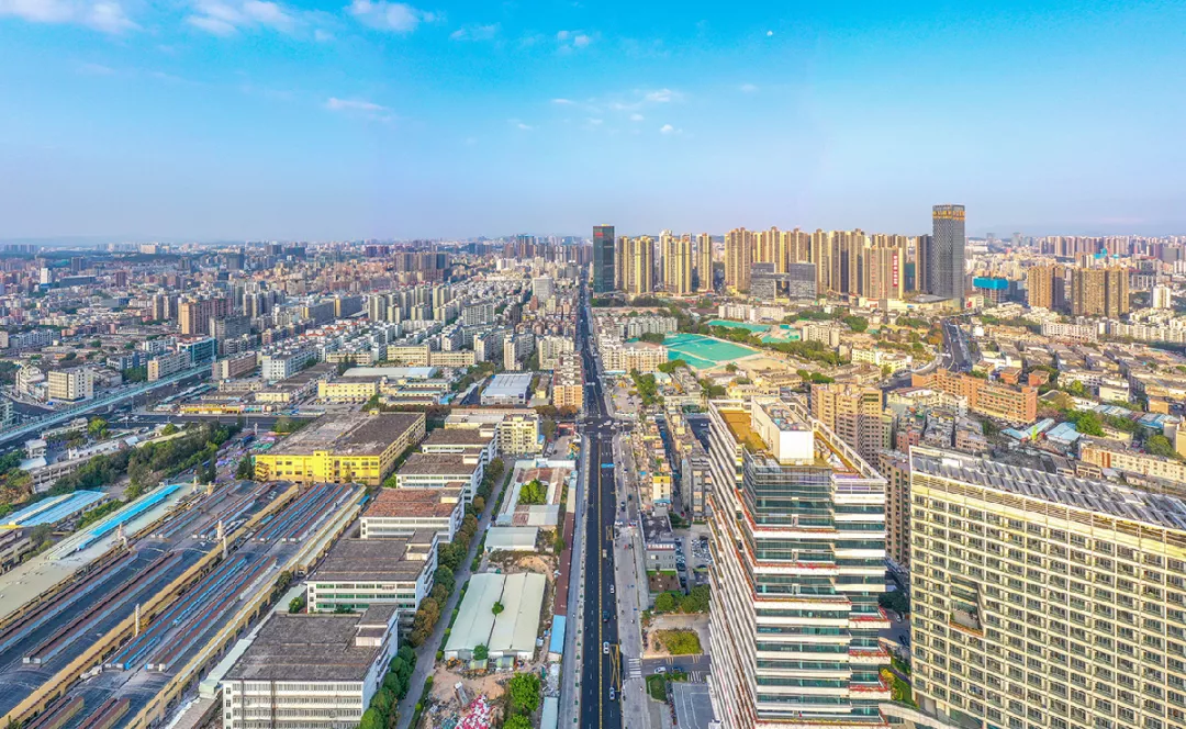 深圳龙华这条路改造后颜值也太硬核了