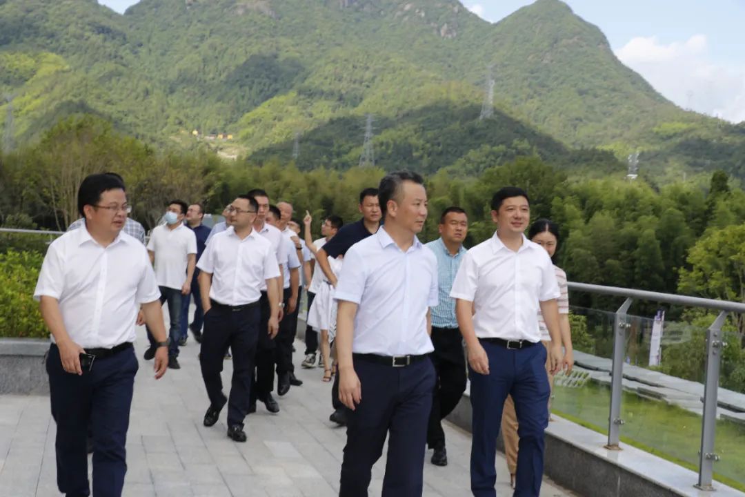 "一把手"说 | 泰顺县委书记林万乐:聚焦聚力"产业为核" 筑牢共同富裕