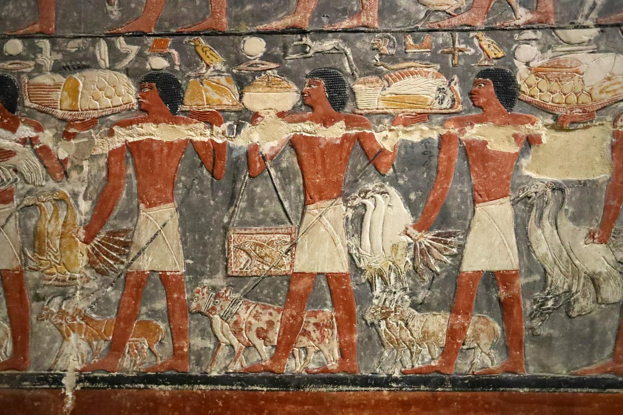 在埃及塞加拉,古墓寻"画"|古墓|壁画_新浪新闻