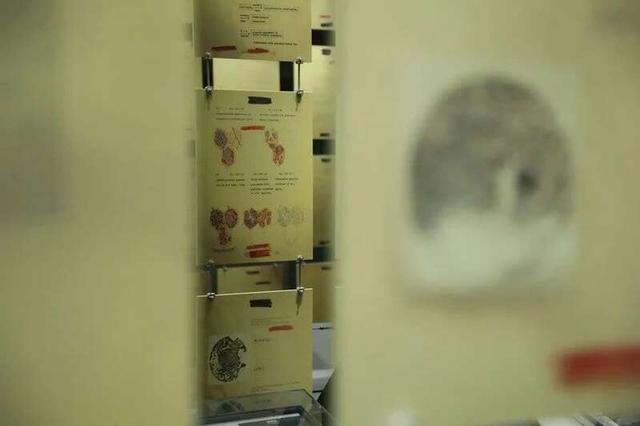 美国国会图书馆科学技术部档案室保存的人体实验报告书复印件。新华社记者 王建 摄