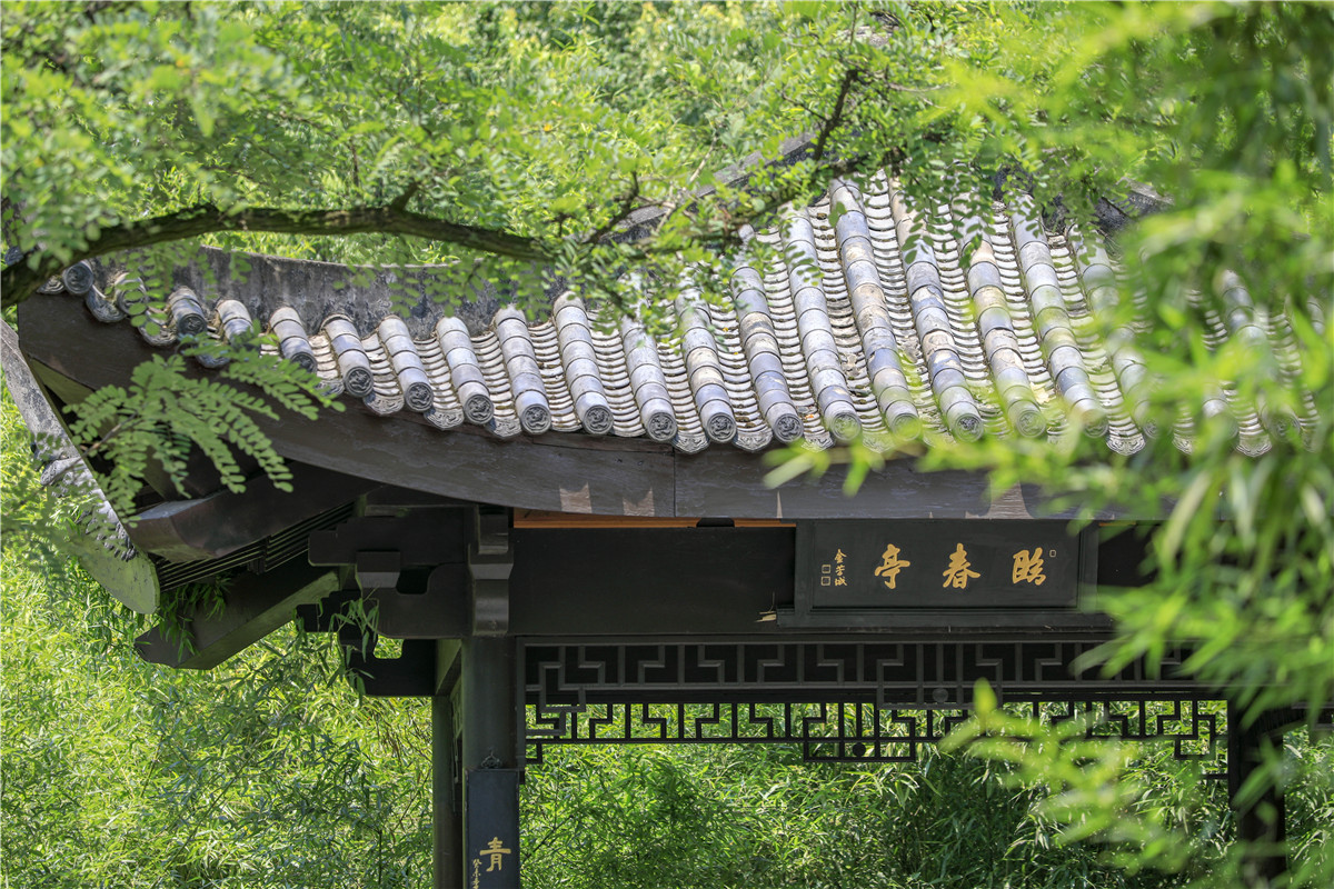 《中式园林》泰格摄于金华婺州公园