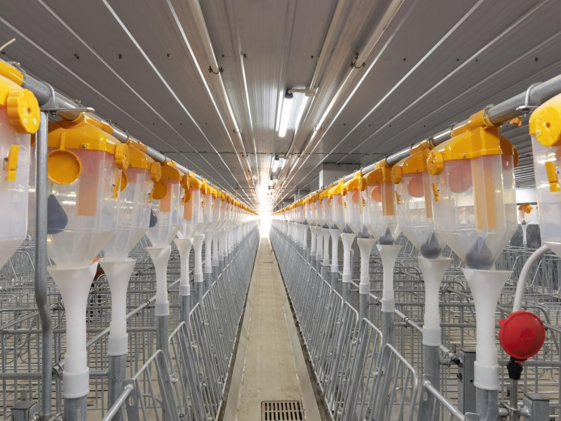 据悉,该企业的生猪项目均定位为自动化,环保型的全循环美丽生态农业