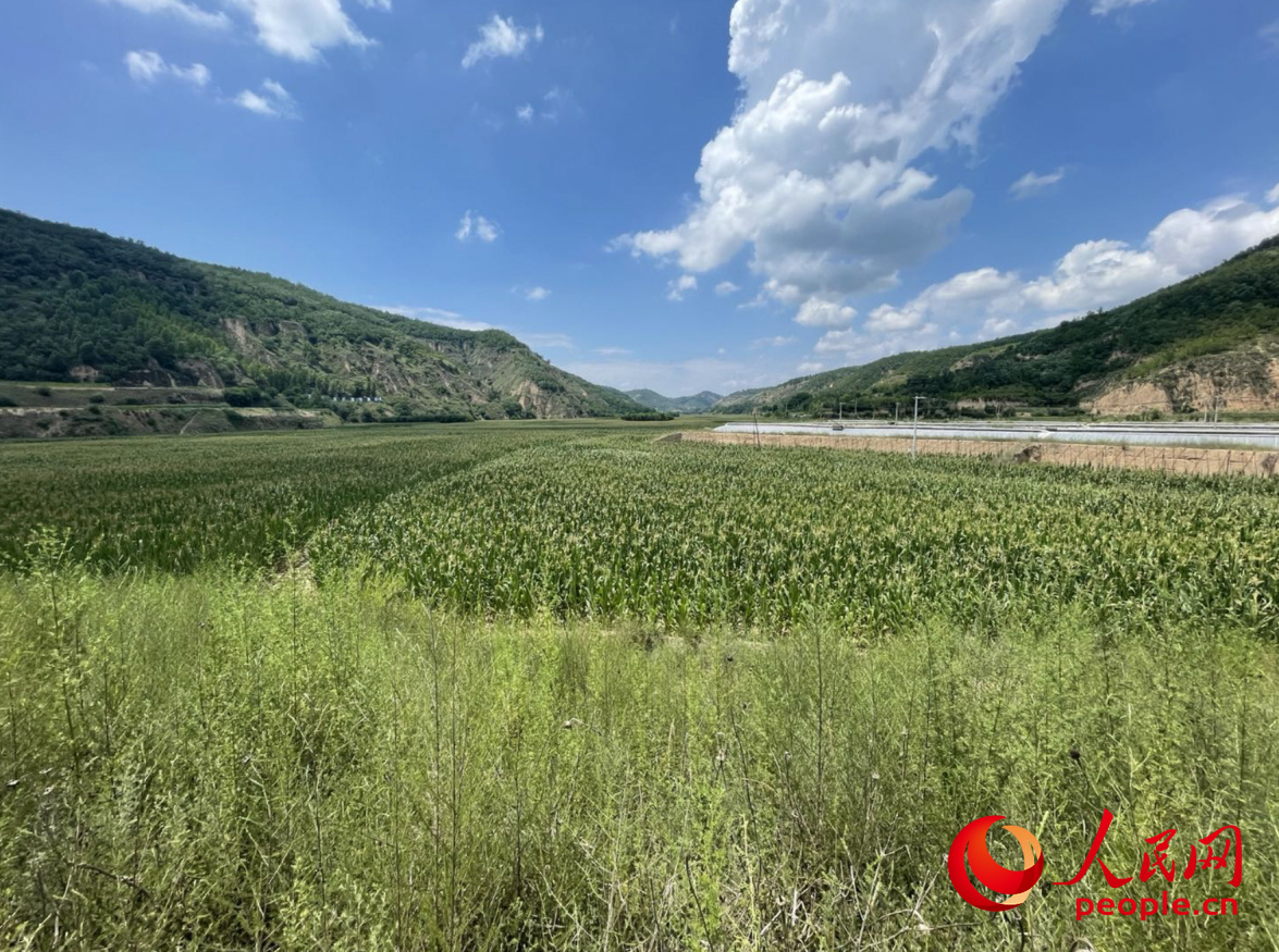 陕西省延川县贾家坪镇马家湾大型淤地坝.