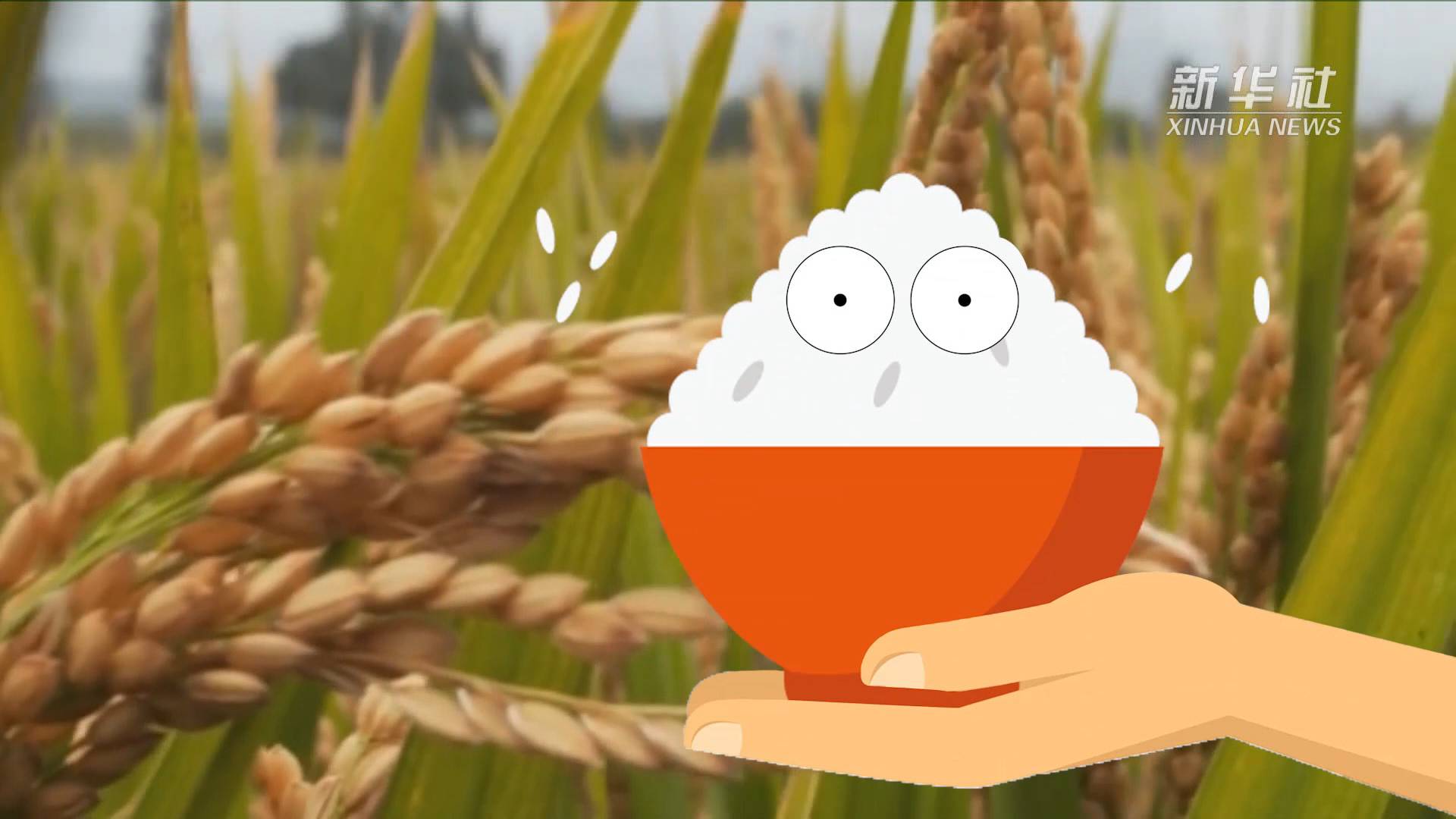 干饭人为啥要靠大熊猫养活