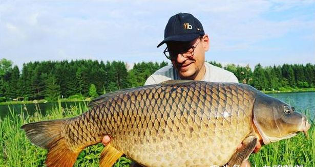 当外来物种入侵,在中国厨师们眼中,它们只能够是一道菜!休闲区蓝鸢梦想 - Www.slyday.coM