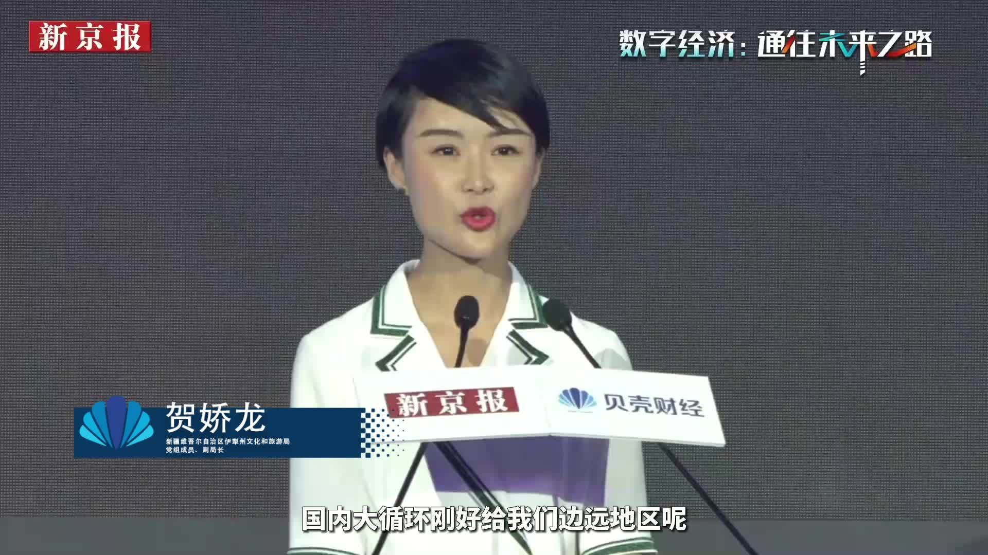 贺娇龙:短视频直播带货,我站的方向我认为是完全正确的