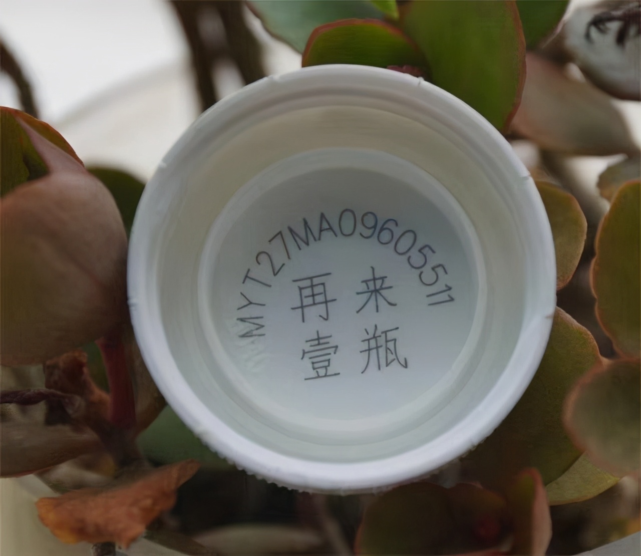 为啥没再来一瓶活动了当你还在为中奖开心时别人已赚千万