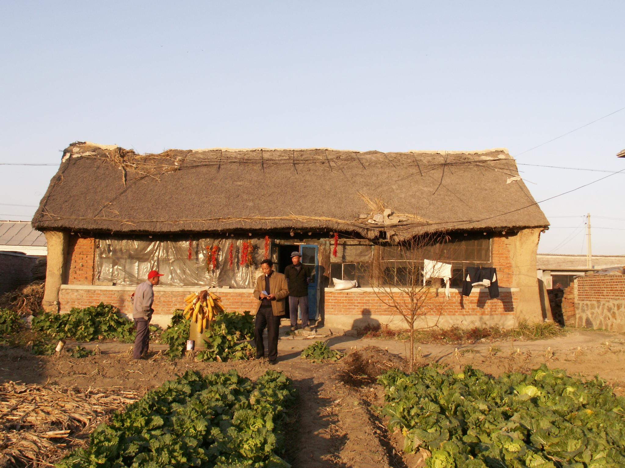 穷,出路在哪里?前杜村的两位老书记王绍甫