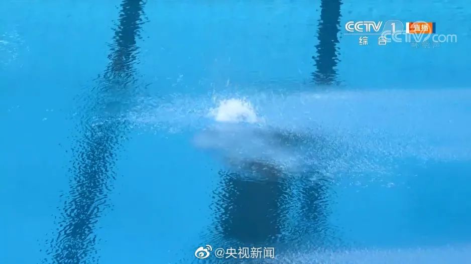 广东省|陈芋汐|跳水队_新浪新闻