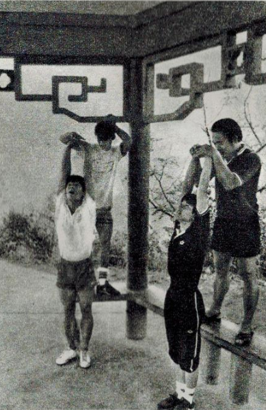 老照片 汉城奥运会中国队获得五枚金牌  中国跳水队就占了两枚休闲区蓝鸢梦想 - Www.slyday.coM