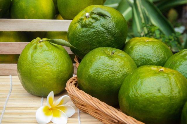 真怀念啊酸甜酸甜的绿皮橘子