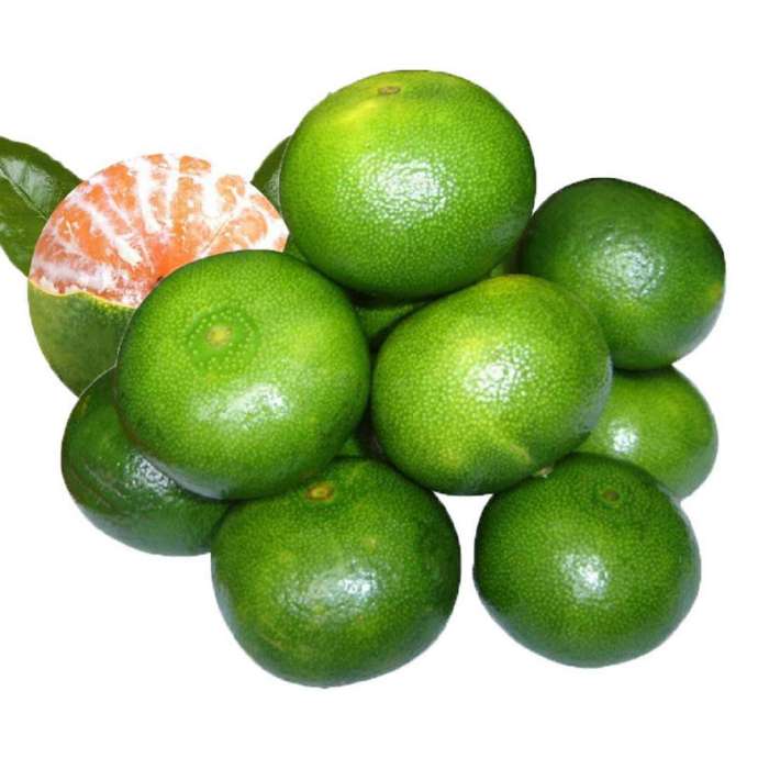 真怀念啊酸甜酸甜的绿皮橘子