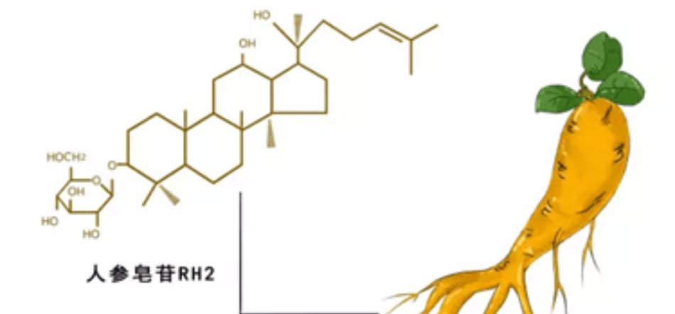 哪里买到越南正宗铁木砧板(人参皂苷rg3哪里能买到正宗的?