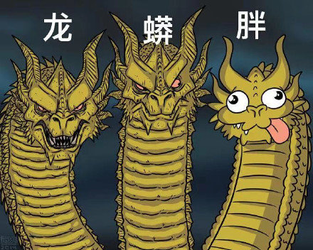 "站在领奖台上的 龙蟒胖.