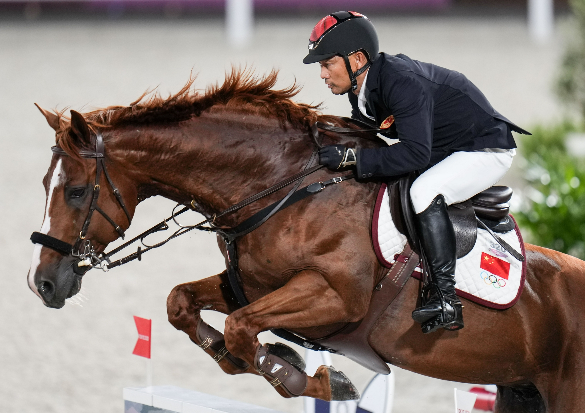 马术——上阵父子兵|马术|李振强|东京奥运会_新浪新闻