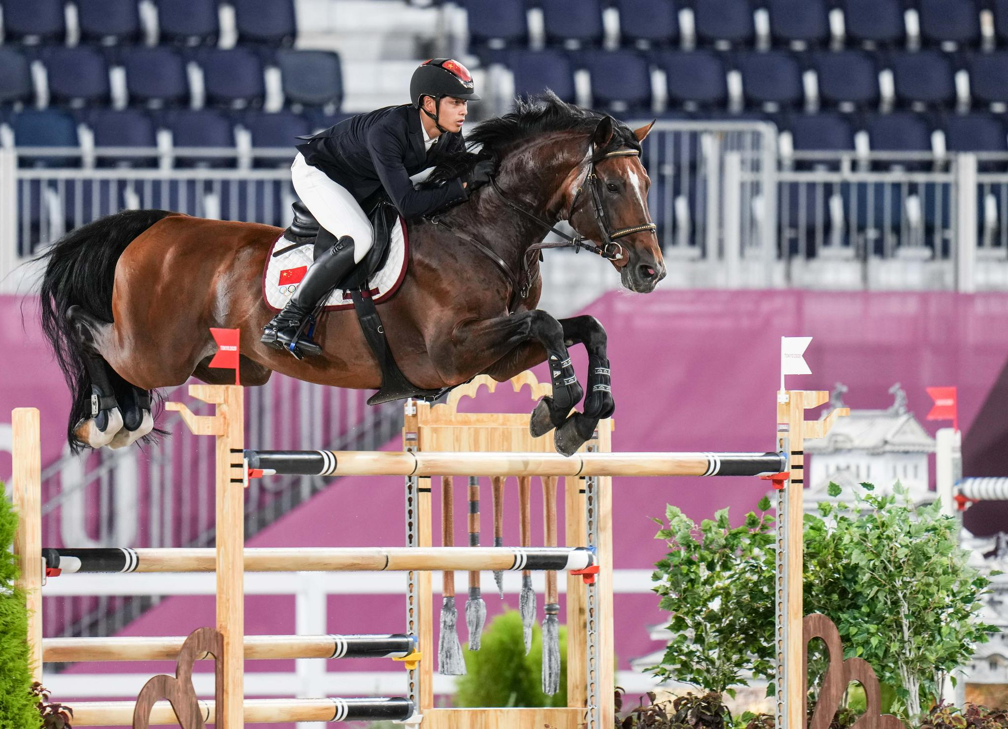 马术——上阵父子兵|马术|李振强|东京奥运会_新浪新闻