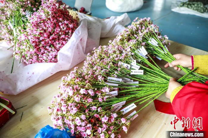 甘肃农家女创建"巧手女人坊":让美丽事业遍地开花