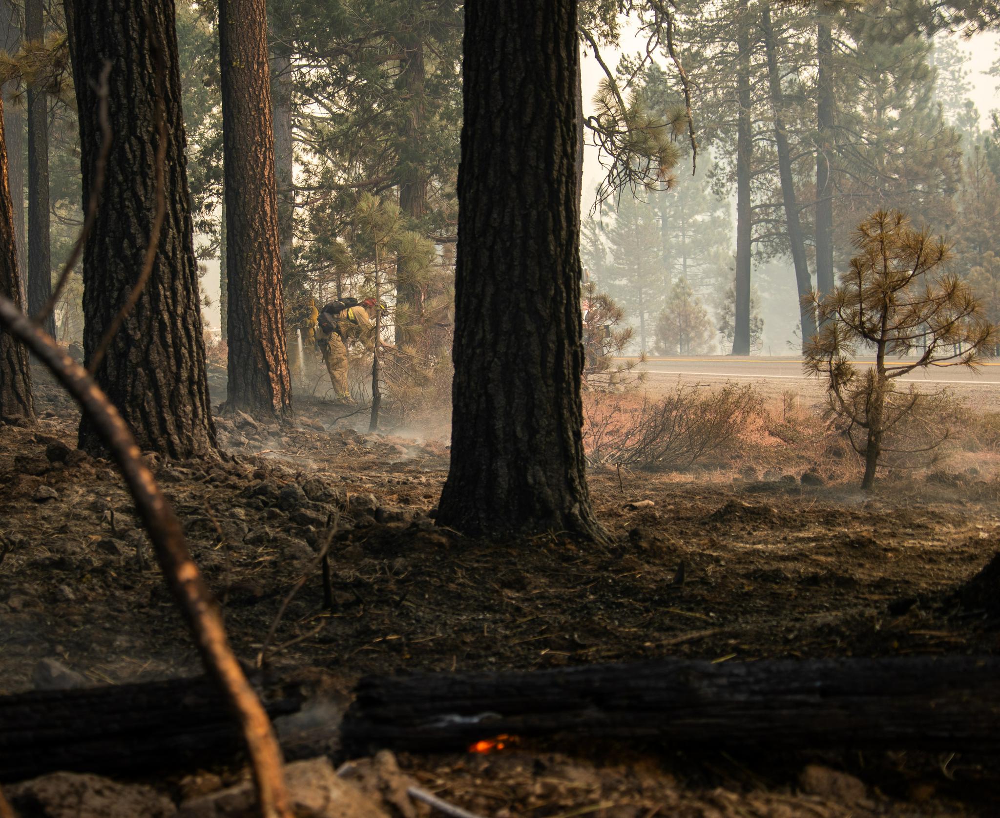 加州北部山火肆虐