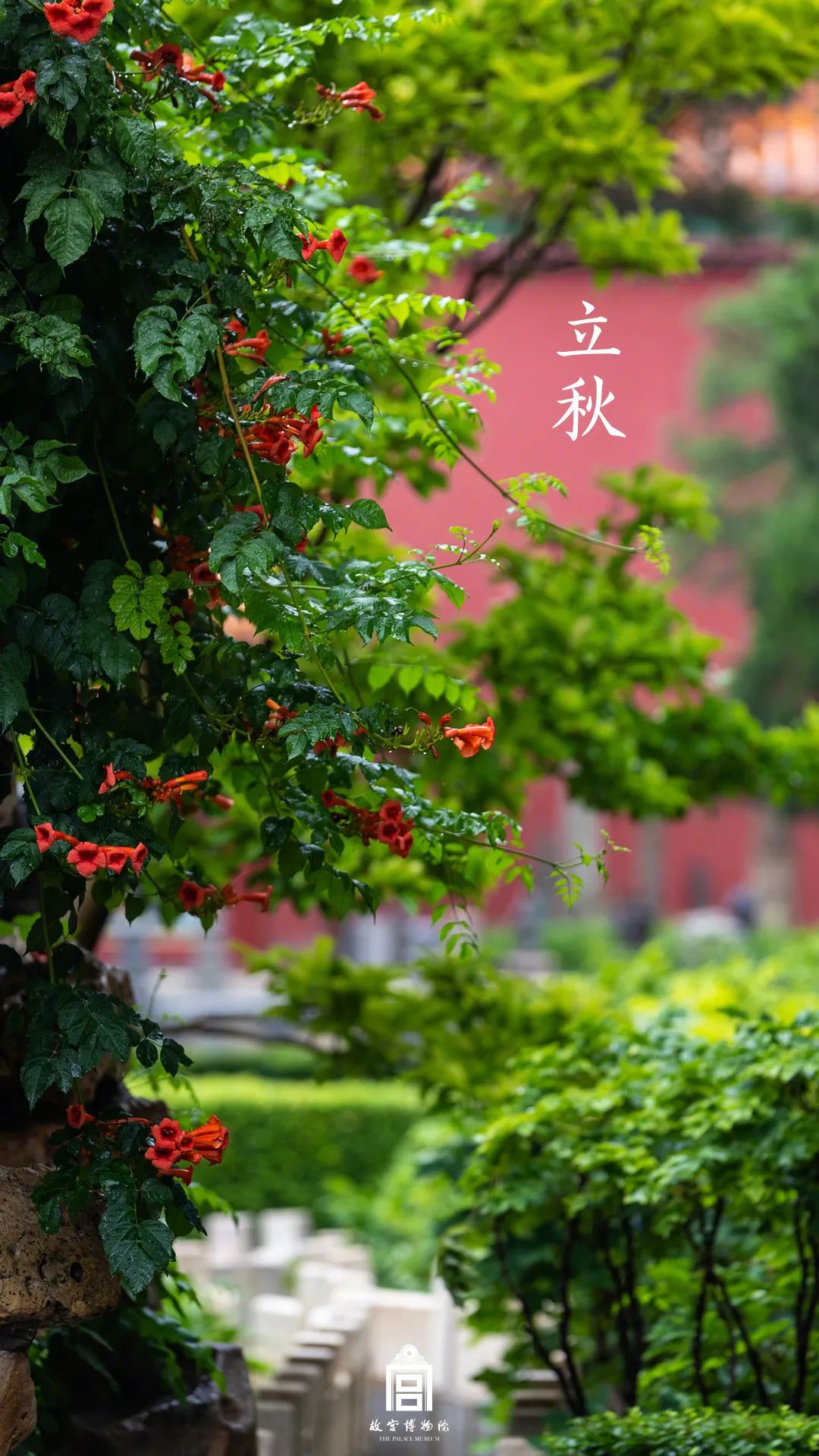 立秋岁月忽晚人间已秋