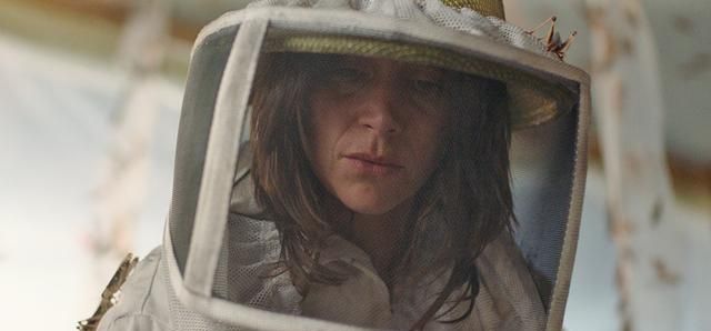 生活的压力事业的低迷血色蝗灾下的亲情无奈而又真实