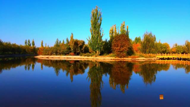 伽师县胡杨林生态园