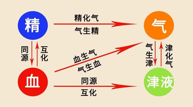 小儿推拿杨晓津液是什么津液有什么用如何正确补充津液