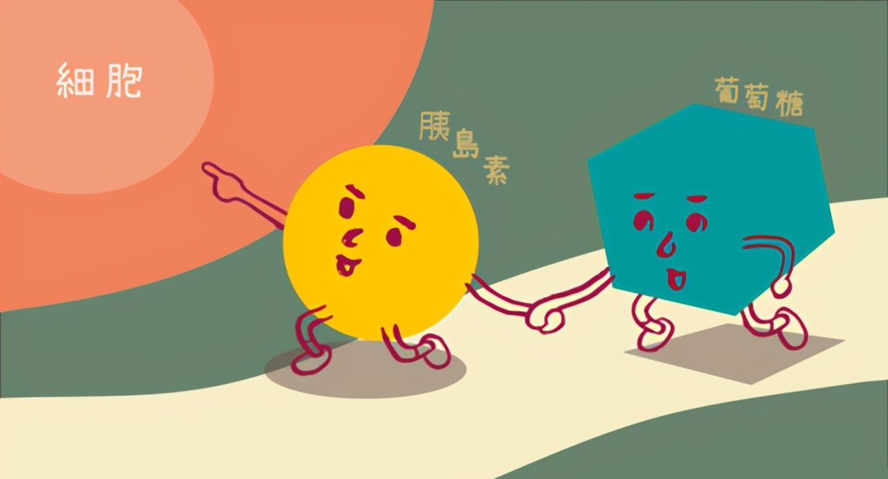 胰岛素|血糖|糖尿病_新浪新闻