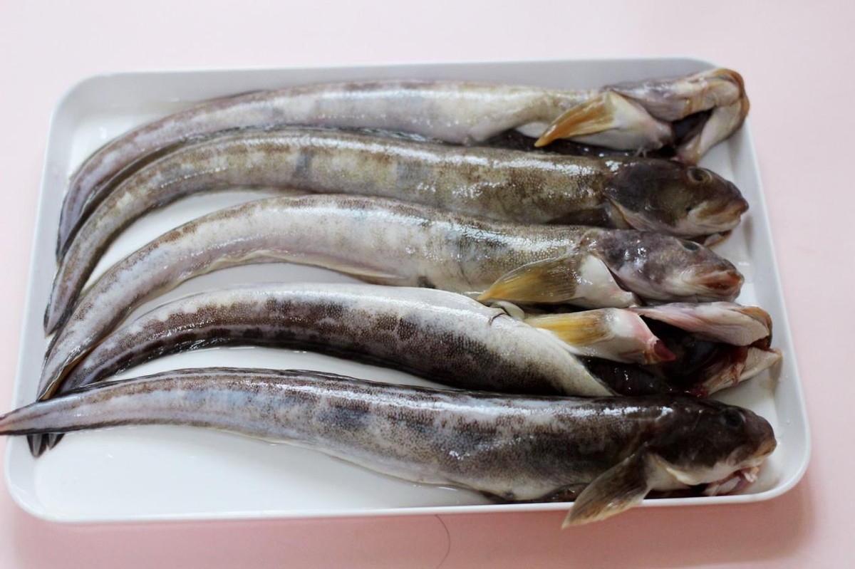 鲇鱼虽然长的丑,但是做好嘎嘎香!味道鲜美,可以多吃两碗饭