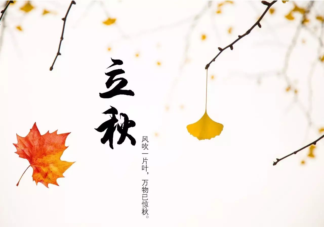 立秋:流年如水,光阴往来,云水长天收夏色,风起叶落动秋声