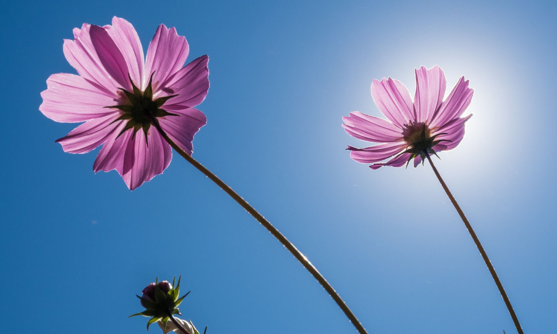 花呗怎么套现?花呗自己刷钱最好用的办法只有一个