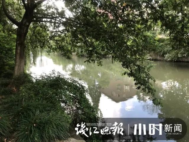 今早杭城一对双胞胎落水，弟弟被救起，哥哥不幸身亡！家属心碎：才20多岁……休闲区蓝鸢梦想 - Www.slyday.coM