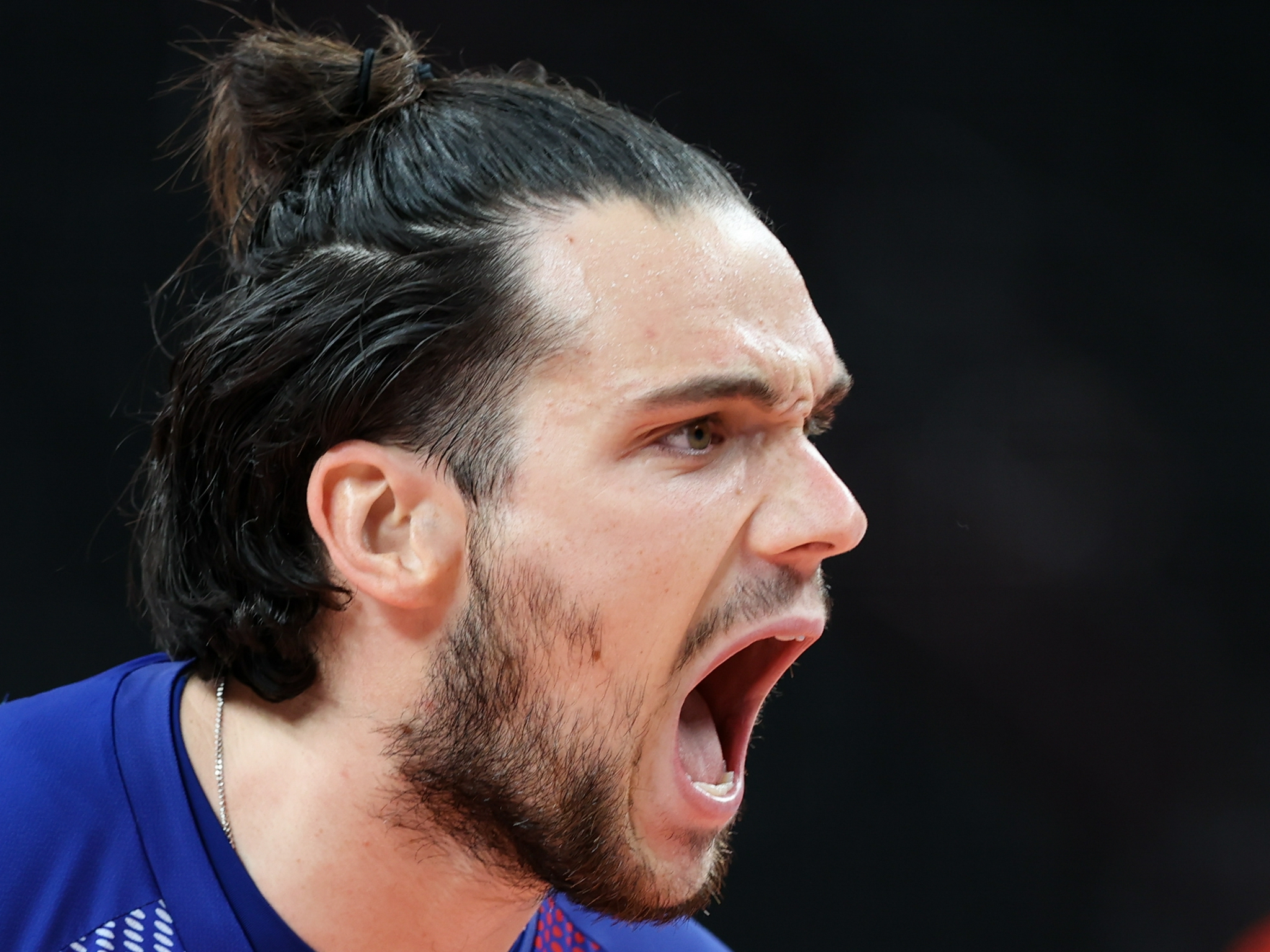 排球——法国男排夺冠