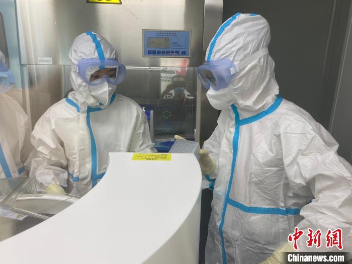 工作人员在方舱核酸检测实验室工作。圣湘生物供图