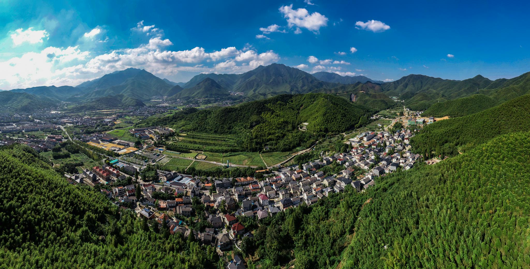 吸碳生钱安吉一农民千亩竹林贷得37万元