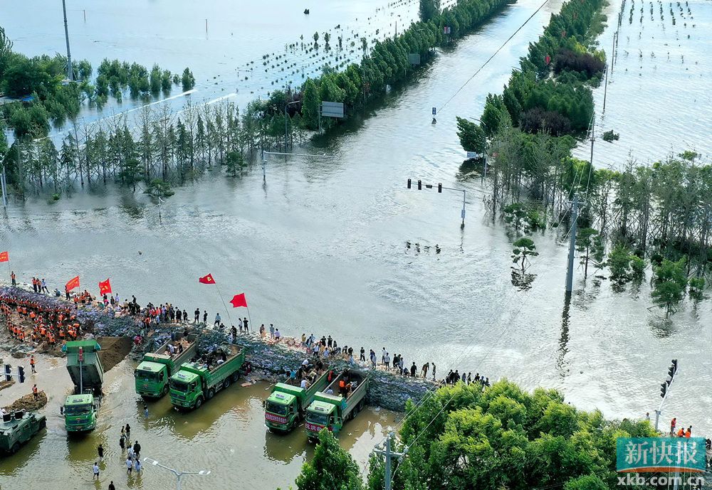 河南浚县滞洪区图片