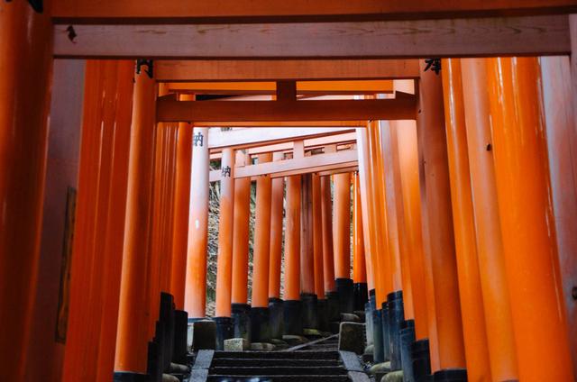 千本鸟居,日本的标志性建筑|鸟|神社|神灵_新浪新闻