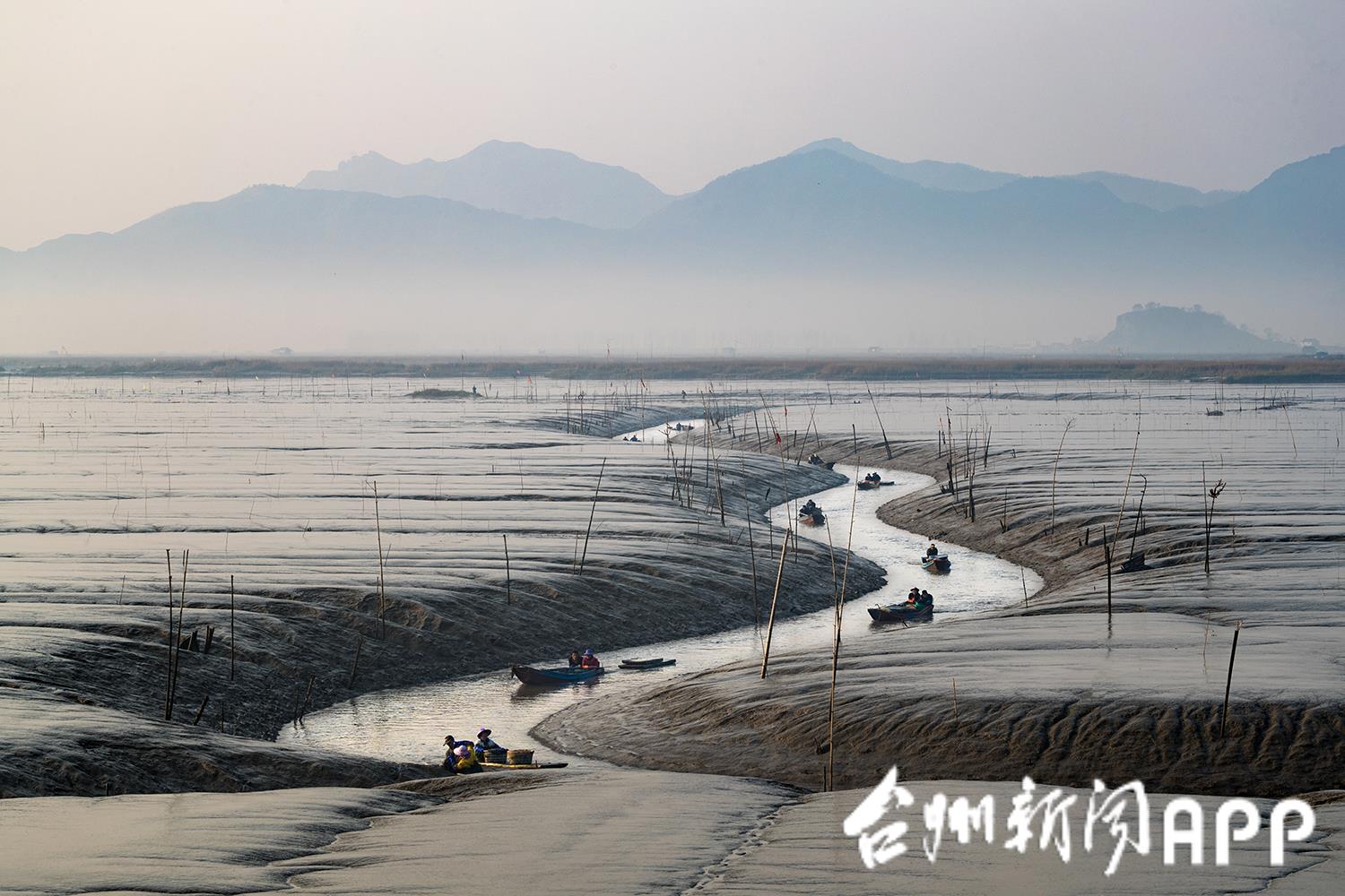 从三无乡村到共富典型看三门金家峙村如何蝶变