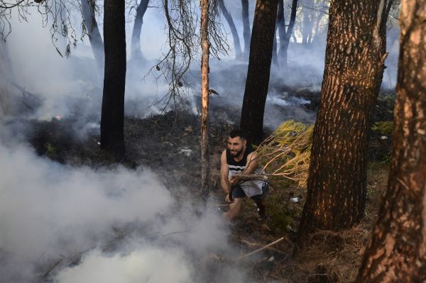 德媒：多国山火蔓延敲响气候警钟