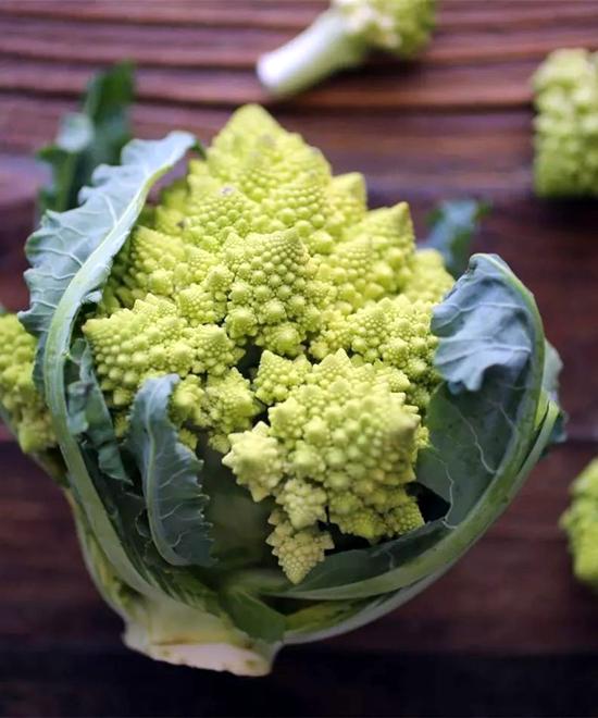 4种常见的十字花科蔬菜阳台也能种喜欢吗