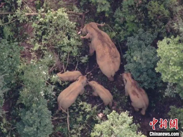 阿里回应“女员工被侵害”！CEO张勇：震惊、气愤、羞愧【新闻热榜】休闲区蓝鸢梦想 - Www.slyday.coM