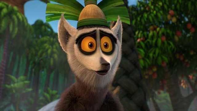 醒来就对着太阳打坐群体中以臭为美环尾狐猴为何有此奇葩行为