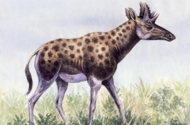 远古时代的长颈鹿图片
