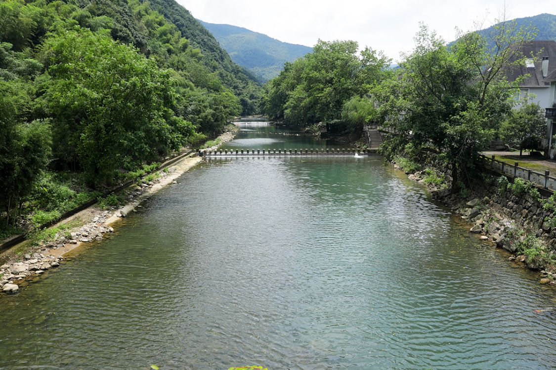 汪顺老家美丽云溪获得奥运冠军后为家乡送来了礼物